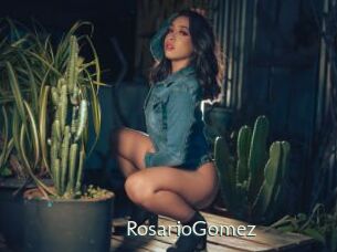 RosarioGomez