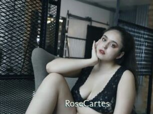 RoseCartes 1 grosse chatte poilue