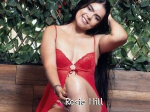 Rosie_Hill_ 1 grosse chatte poilue
