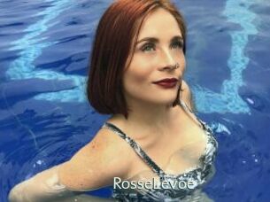 RosseLevoe 1 grosse chatte poilue