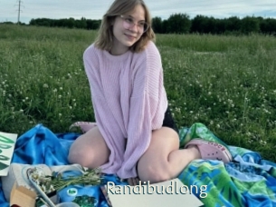 Randibudlong