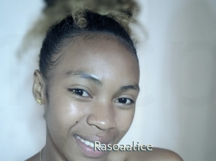 rasoaalice 1 grosse chatte poilue