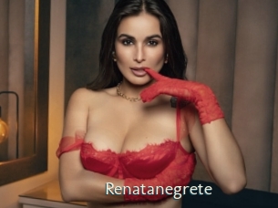 renatanegrete 1 grosse chatte poilue