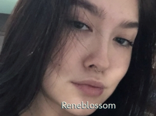Reneblossom