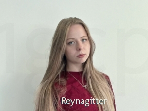 Reynagitter