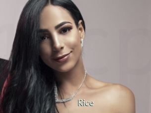 Rice