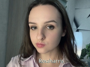 rosaharris 1 grosse chatte poilue