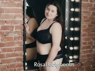Rosaliebigboobs