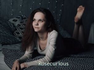 rosecurious 1 grosse chatte poilue