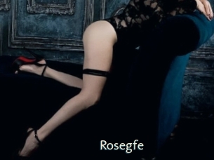 rosegfe 1 grosse chatte poilue
