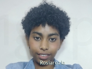 rosiarozia 1 grosse chatte poilue