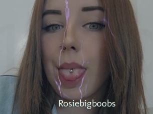 Rosiebigboobs