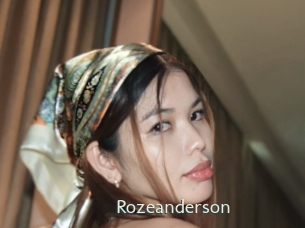 rozeanderson 1 grosse chatte poilue