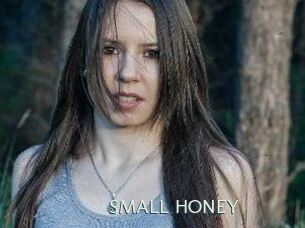 SMALL_HONEY