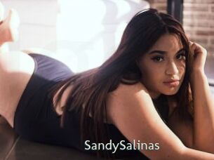SandySalinas