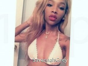 Savannah_Grey