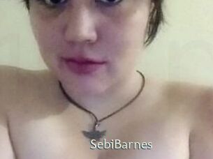 Sebi_Barnes