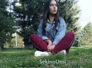 SekinoUmi 1 grosse chatte poilue