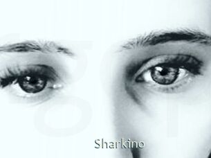 Sharkino