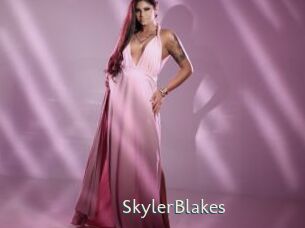 SkylerBlakes