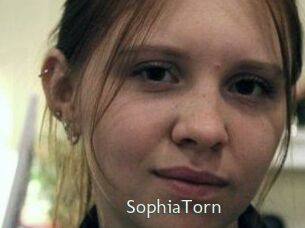 SophiaTorn