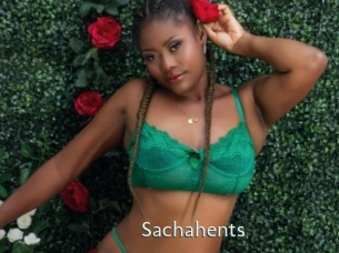 Sachahents