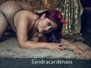 sandracardenass 1 grosse chatte poilue