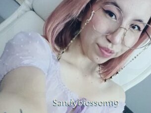 Sandyblossom19