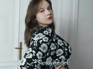 Sandymodel