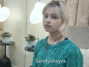 Sandyshayes