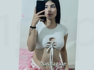 Sashagate