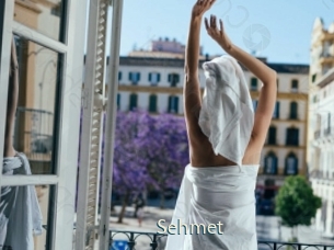 Sehmet