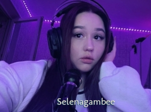 Selenagambee