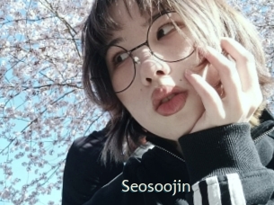 Seosoojin