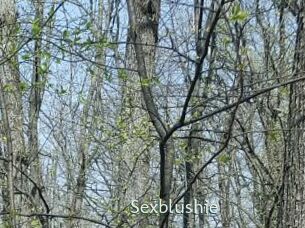 sexblushie 1 grosse chatte poilue