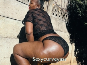sexycurveyass 1 grosse chatte poilue