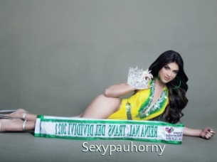 sexypauhorny 1 grosse chatte poilue