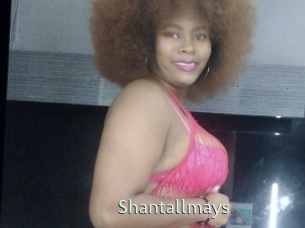 Shantallmays