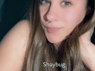 Shaybug