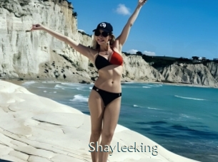 Shayleeking
