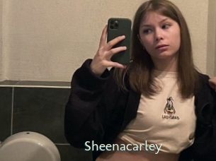 sheenacarley 1 grosse chatte poilue