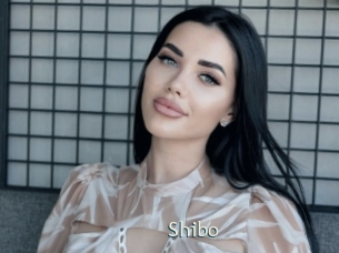 Shibo