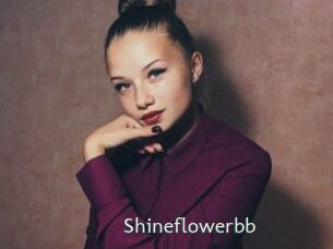 Shineflowerbb