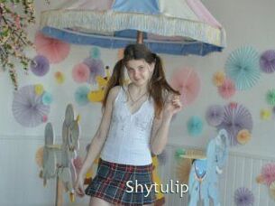 Shytulip