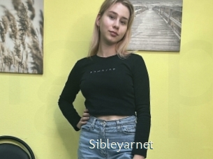 Sibleyarnet