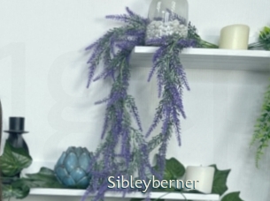 Sibleyberner