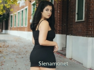 sienamonet 1 grosse chatte poilue