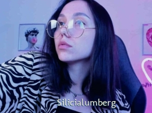 Silicialumberg