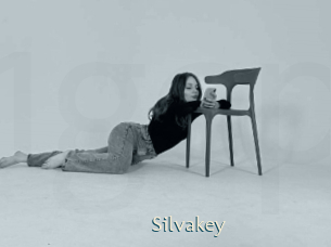 Silvakey