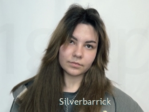 silverbarrick 1 grosse chatte poilue